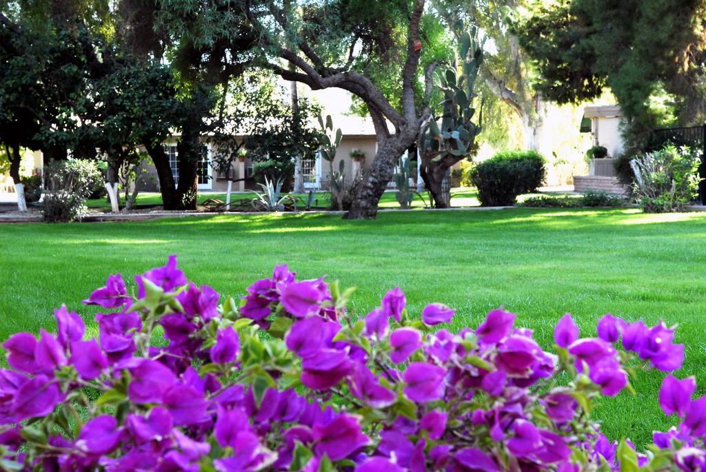 Smoketree Resort And Bungalows Scottsdale Exterior photo